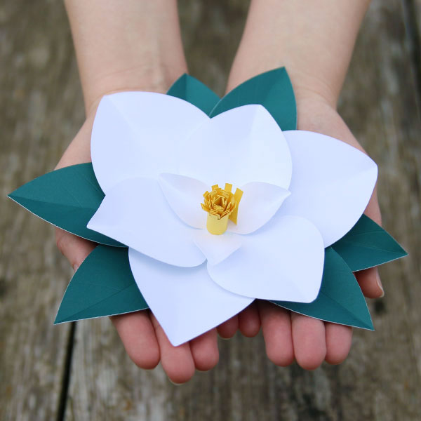 3D Paper Magnolia