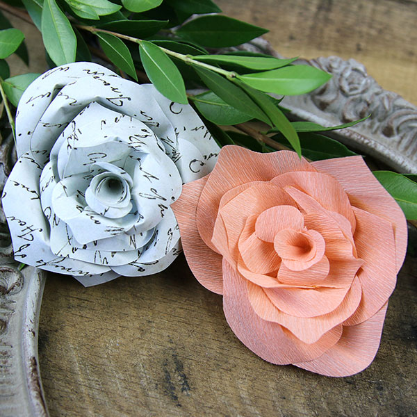 3D Rose in Bloom