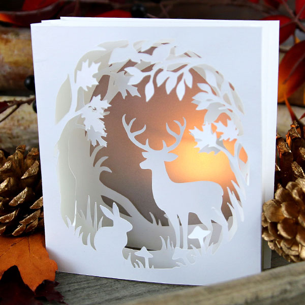 Forest Creatures Shadowbox