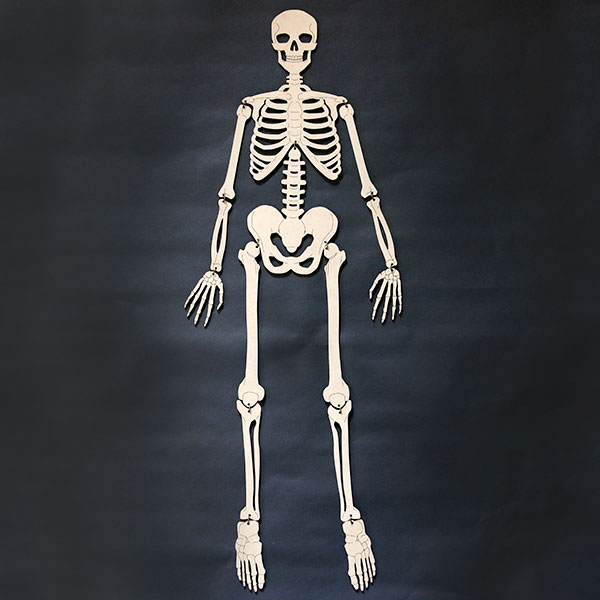 Articulated Skeleton Halloween Decor