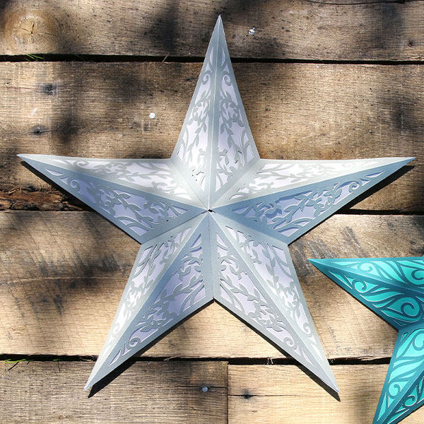 Delicate Vines Barn Star