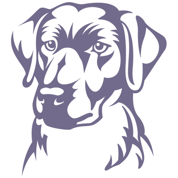 Labrador Retriever Silhouette [SVG, DXF]
