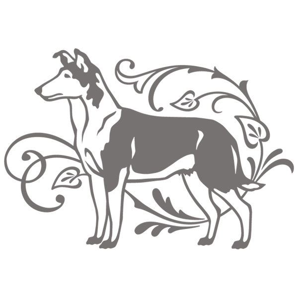 Graceful Smooth Collie [SVG, DXF]