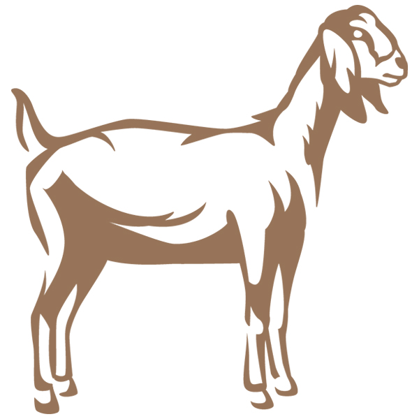Nubian Goat Silhouette 1 [SVG, DXF]