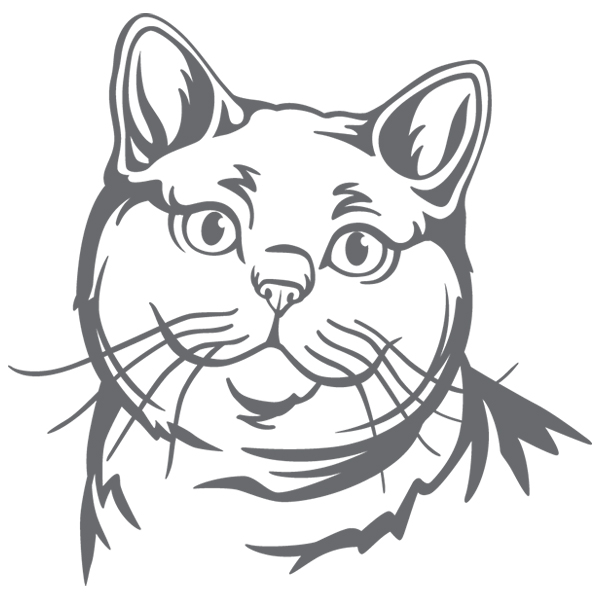 British Shorthair Cat Silhouette [SVG, DXF]