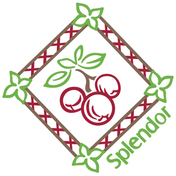 Splendor Cranberries Diamond [SVG, DXF]