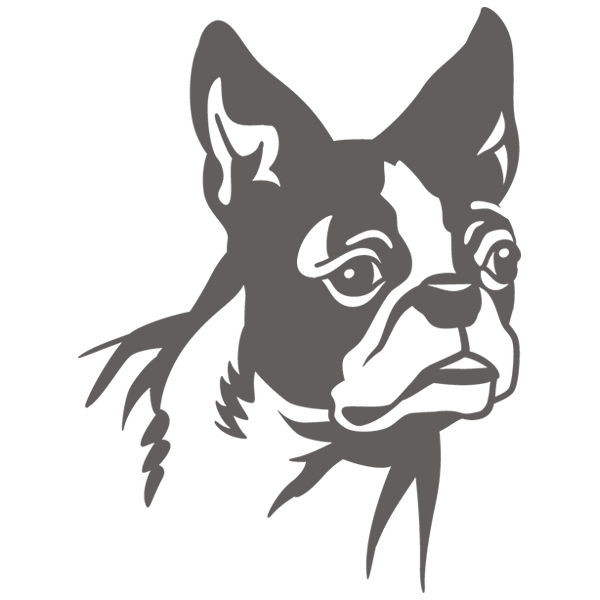 Boston Terrier Silhouette [SVG, DXF]