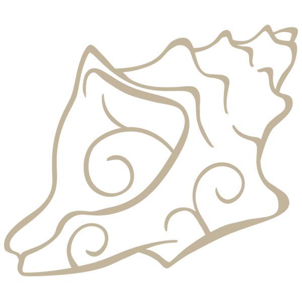 Conch Seashell Accent [SVG, DXF]