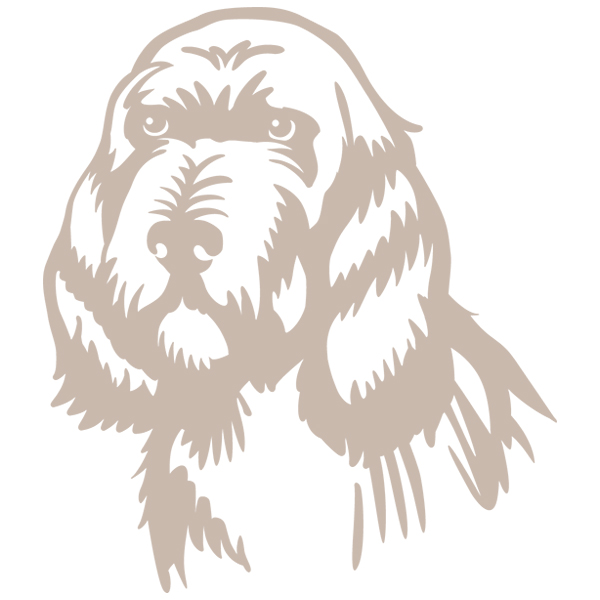 Spinone Italiano Silhouette [SVG, DXF]