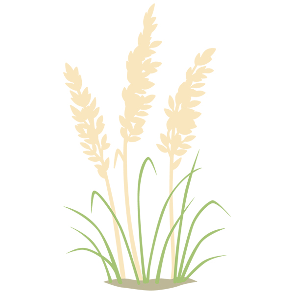 Sea Oats Serenity [SVG, DXF]