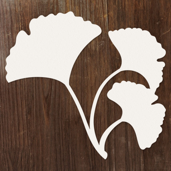Ginkgo Botanical [SVG, DXF]