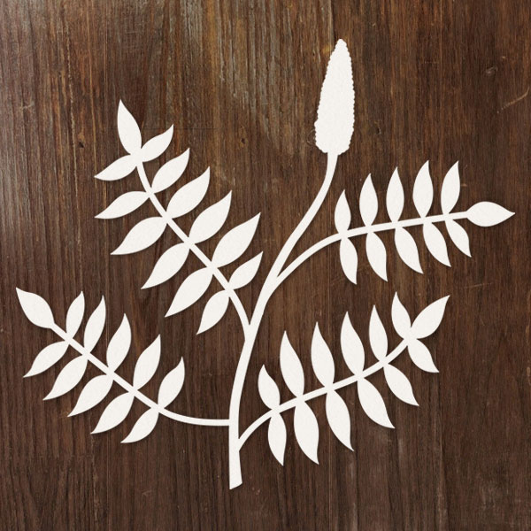 Sumac Botanical [SVG, DXF]