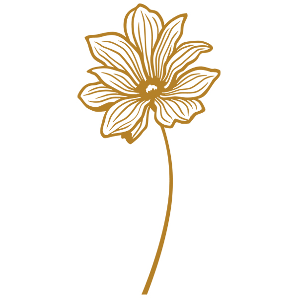 Dazzling Delicate Flower [SVG, DXF]