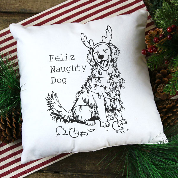 Feliz Naughty Dog 1