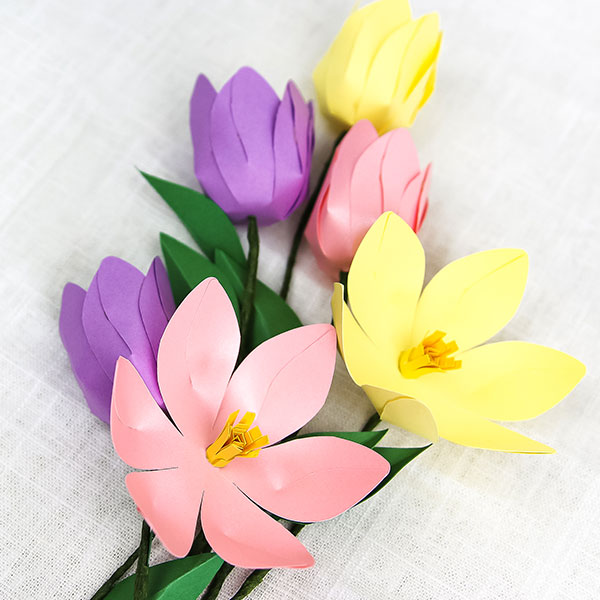 Papercut 3D Flower - Tulip [SVG] 1