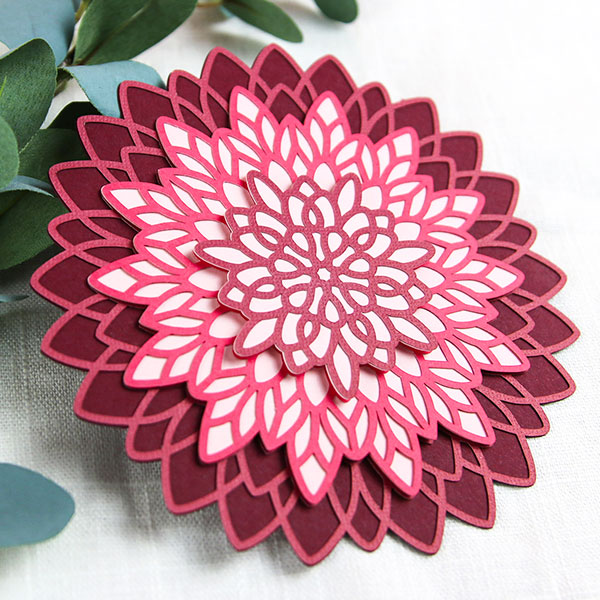 Layered Papercut Dahlia [SVG] 1