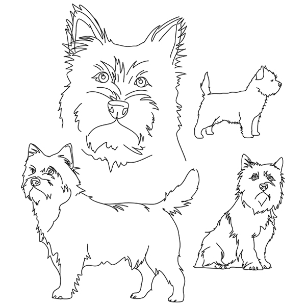 Cairn Terrier Sketch [SVG, DXF]