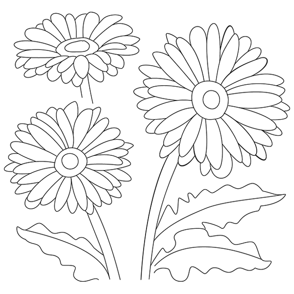 Daisy Sketch [SVG, DXF]