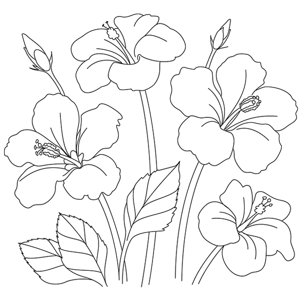 Hibiscus Sketch [SVG, DXF]