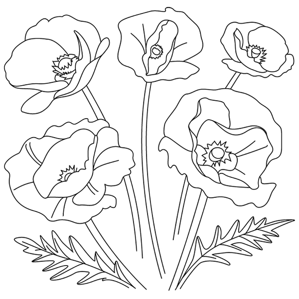Poppy Sketch [SVG, DXF]