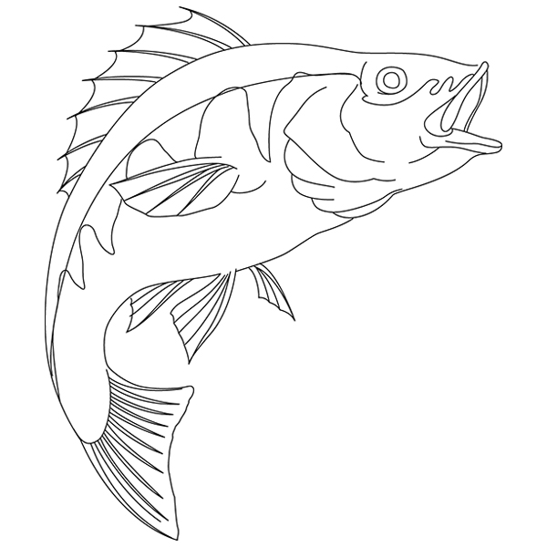 Yellow Perch Sketch [SVG, DXF]