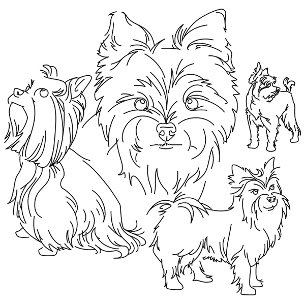 Yorkie Sketch [SVG, DXF]