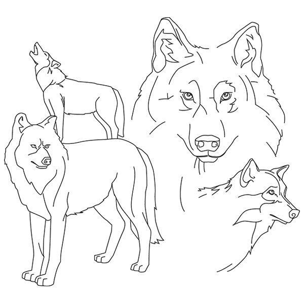 Wolf Sketch [SVG, DXF]