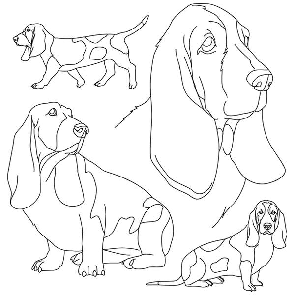 Basset Hound Sketch [SVG, DXF]