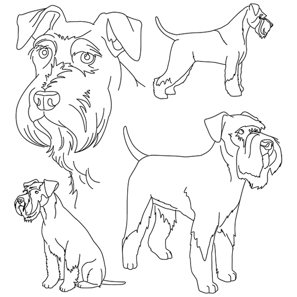Schnauzer Sketch (Full Tail and Ears) [SVG, DXF]