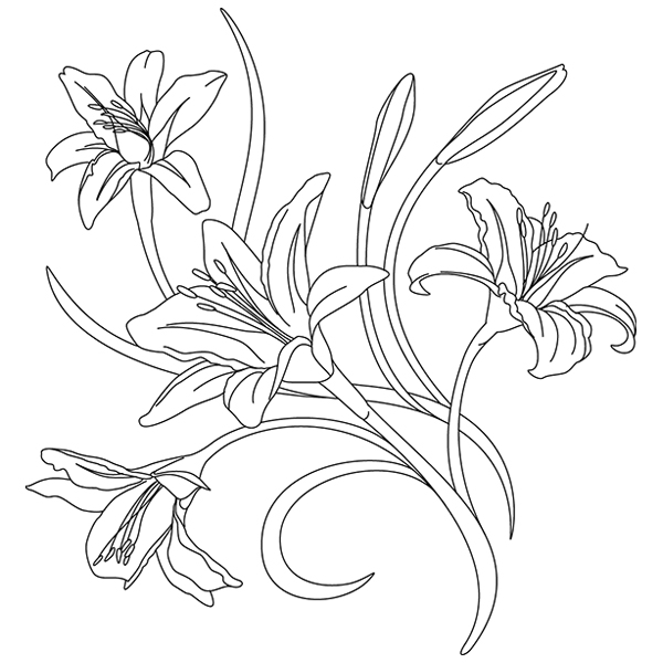 Delicate Daylilies [SVG, DXF]