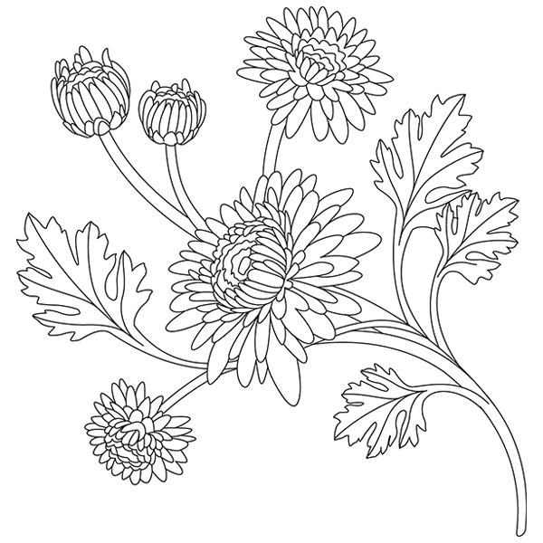 Classy Chrysanthemums [SVG, DXF]
