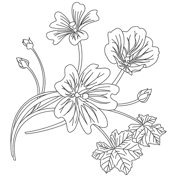 Marvelous Malva [SVG, DXF]