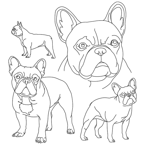 French Bulldog Sketch [SVG, DXF]