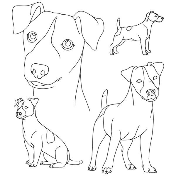 Jack Russell Terrier Sketch (Docked Tail) [SVG, DXF]