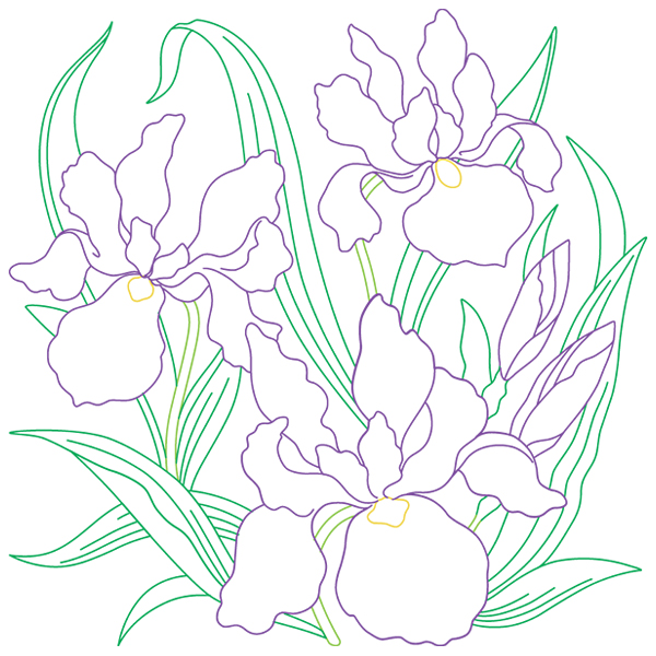 Iris Sketch [SVG, DXF]