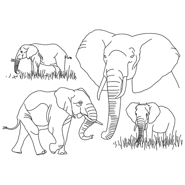Elephant Sketch [SVG, DXF]
