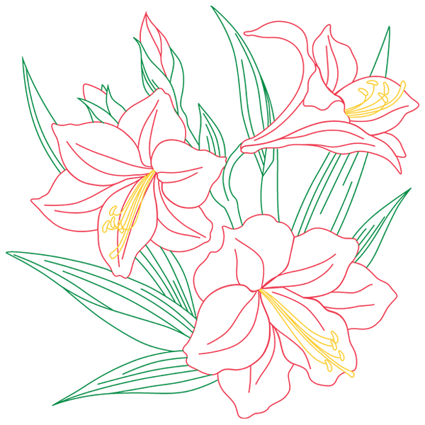 Amaryllis Sketch [SVG, DXF]
