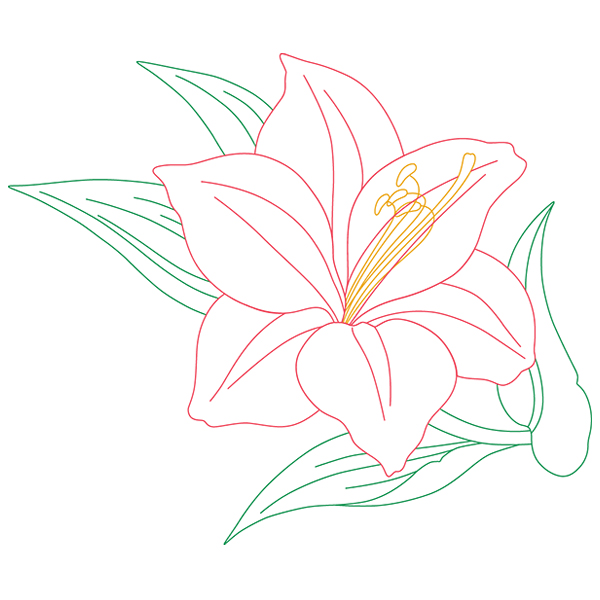 Amaryllis Beauty [SVG, DXF]