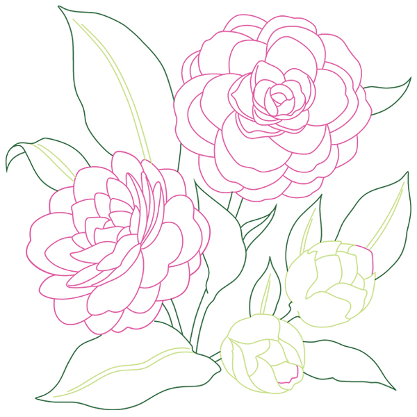 Camellia Sketch [SVG, DXF]