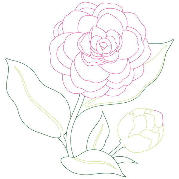 Camellia Beauty [SVG, DXF]