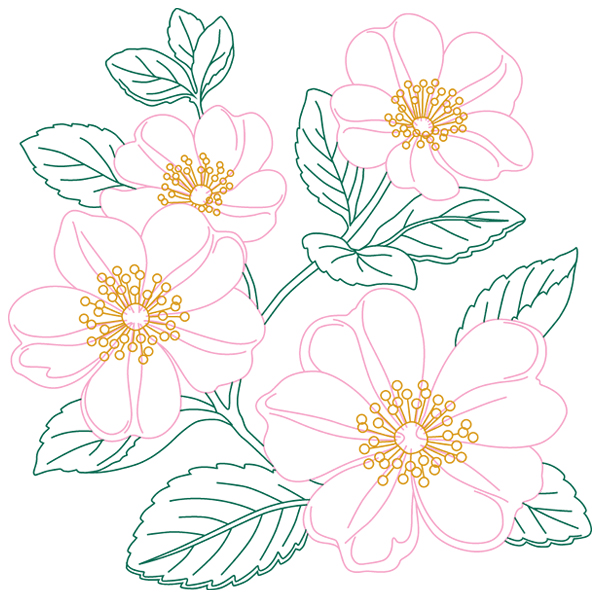Dog Roses Sketch [SVG, DXF]