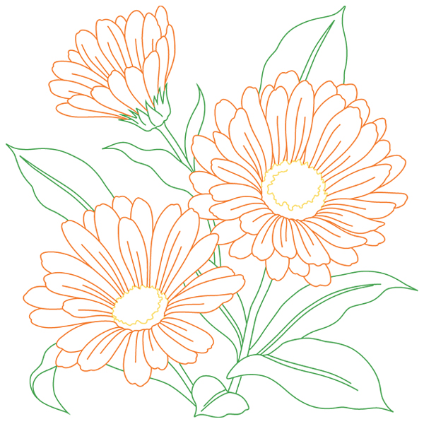 Calendula Sketch [SVG, DXF]