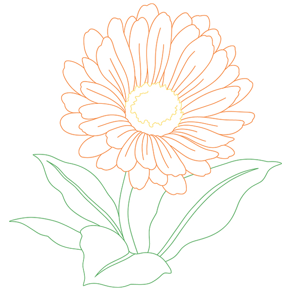 Calendula Beauty [SVG, DXF]