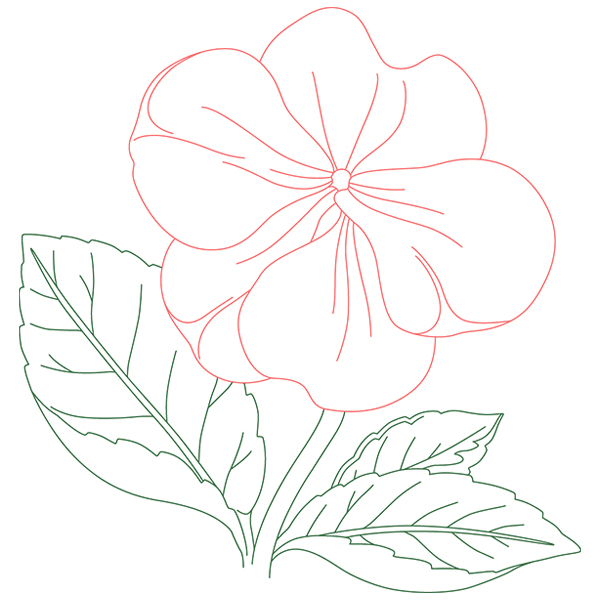 Impatiens Beauty [SVG, DXF]