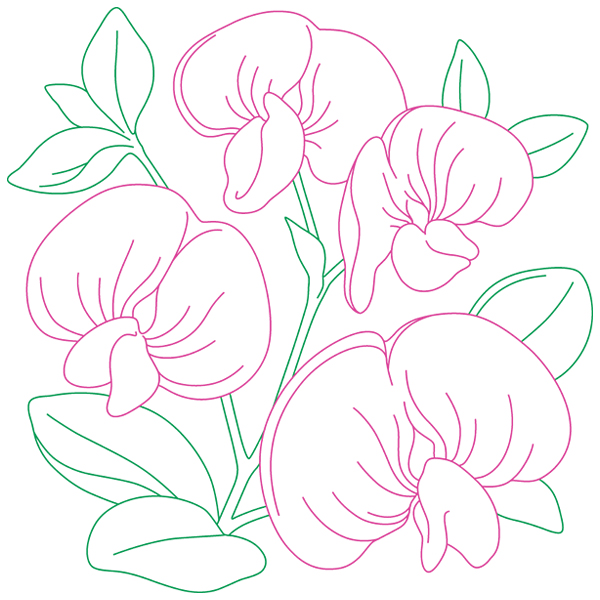 Sweet Pea Sketch [SVG, DXF]