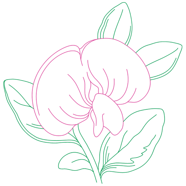 Sweet Pea Beauty [SVG, DXF]