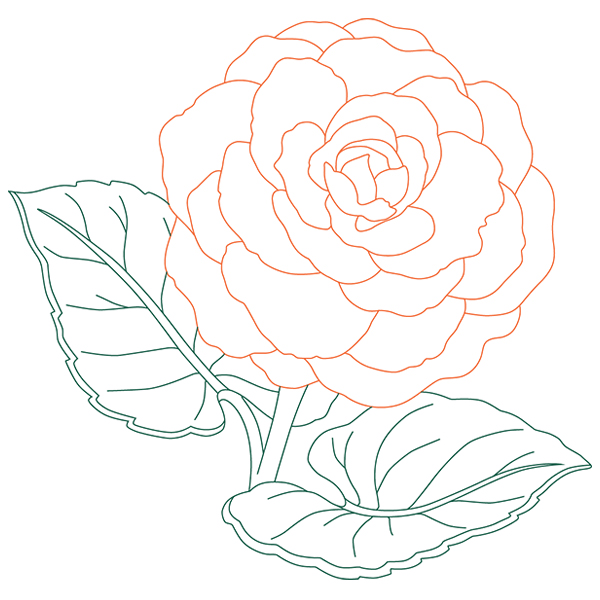 Tuberous Begonia Beauty [SVG, DXF]
