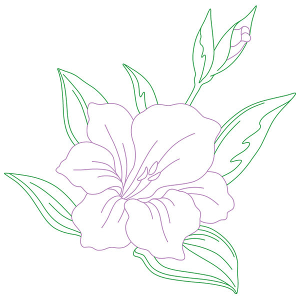 Gladiolus Beauty [SVG, DXF]