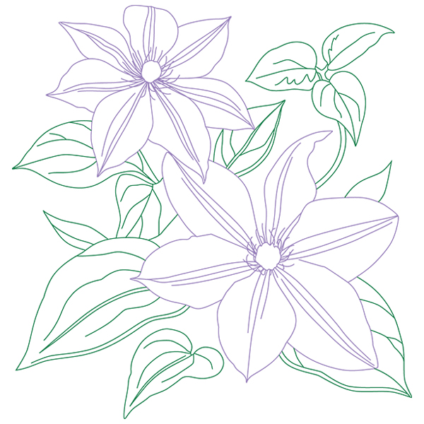 Clematis Sketch [SVG, DXF]