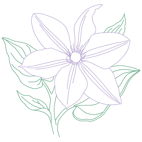 Clematis Beauty [SVG, DXF]